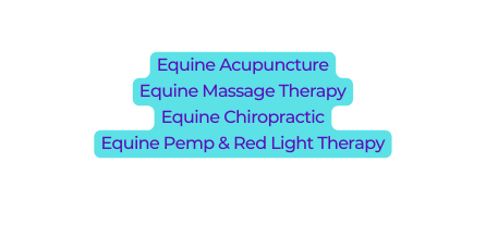 Equine Acupuncture Equine Massage Therapy Equine Chiropractic Equine Pemp Red Light Therapy