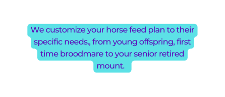 We customize your horse feed plan to their specific needs from young offspring first time broodmare to your senior retired mount